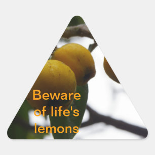 When Life Gives You Lemons... Triangle Sticker