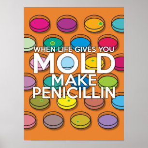 WHEN LIFE GIVES YOU MOLD MAKE PENICILLIN POSTER