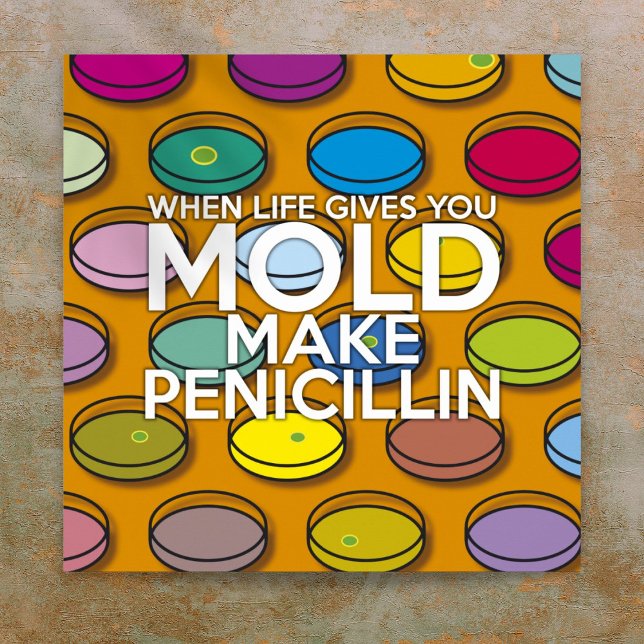WHEN LIFE GIVES YOU MOLD MAKE PENICILLIN SCIENCE POSTER (WHEN LIFE GIVES YOU MOLD MAKE PENICILLIN SCIENCE POSTER)