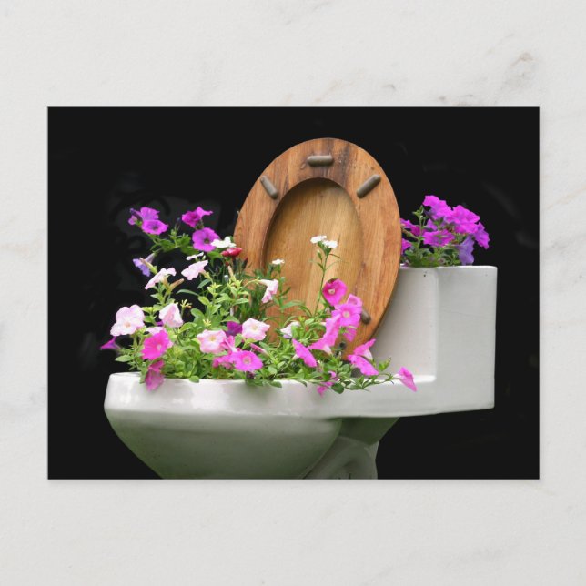 When life gives you poop postcard (Front)