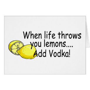 When Life Throws You Lemons Add Vodka