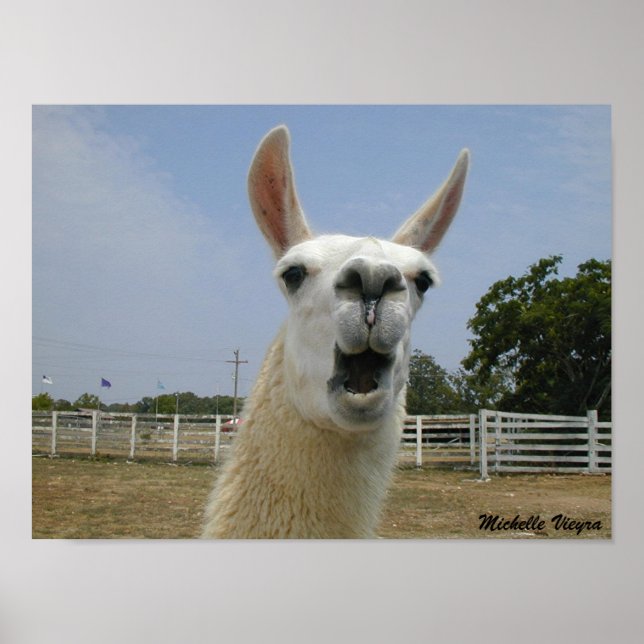 When Llamas Attack Poster (Front)