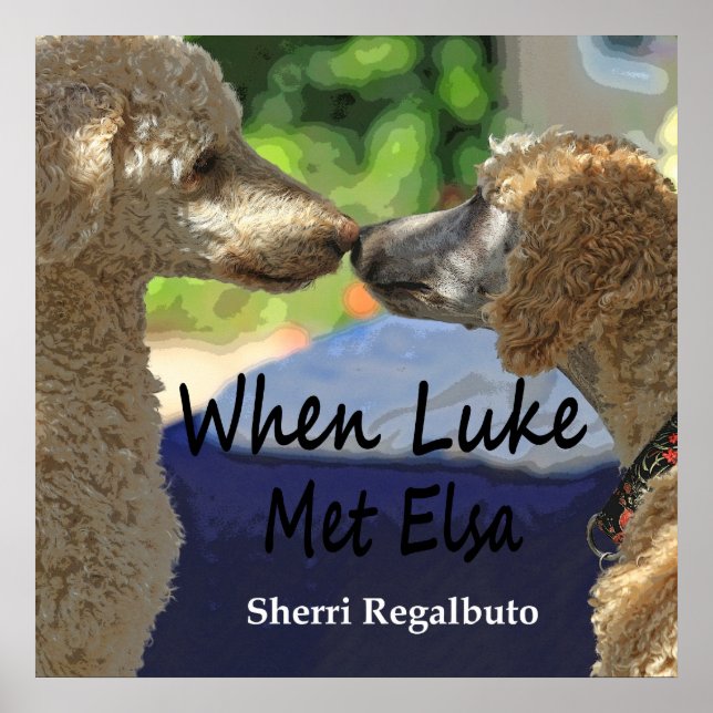 When Luke Met Elsa Poster (Front)