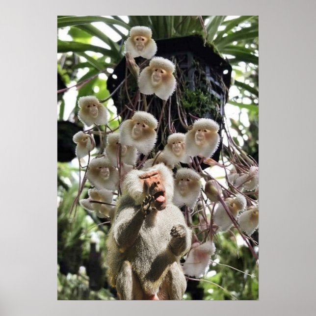 When nature copies nature. poster (Front)