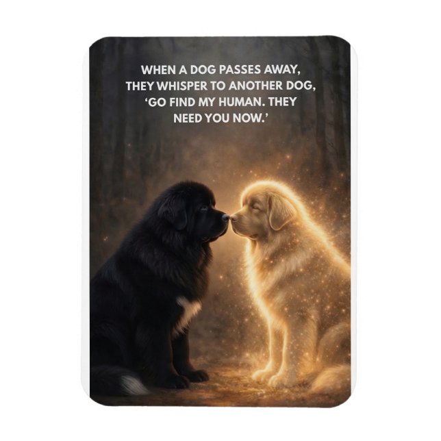 When one dog passes magnet (Vertical)