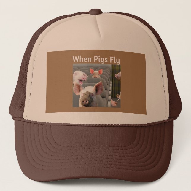 When Pigs don't Fly Brown Hat off my Cap (Front)