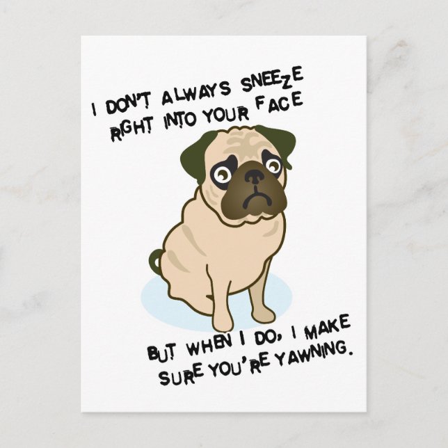 When pugs are sneezing postcard (Front)