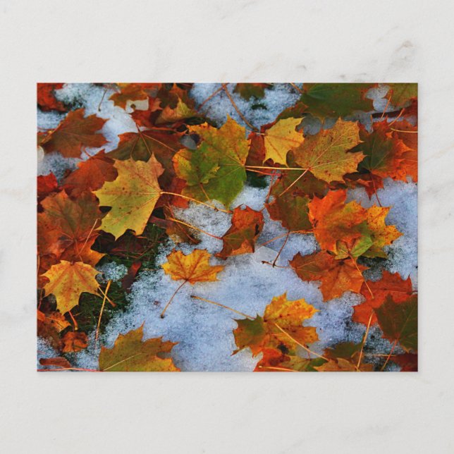 When Seasons Collide Postcard (Front)