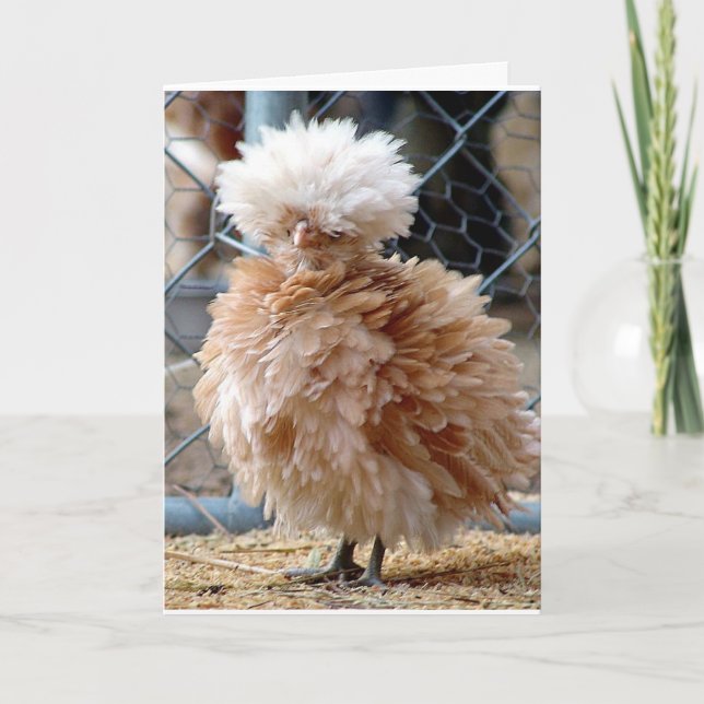 WHEN SICK EAT A HAMBURGER ***NOT CHICKEN SOUP*** CARD (Front)