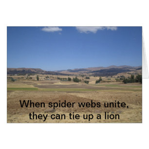 When spider webs unite, they can tie up a lion