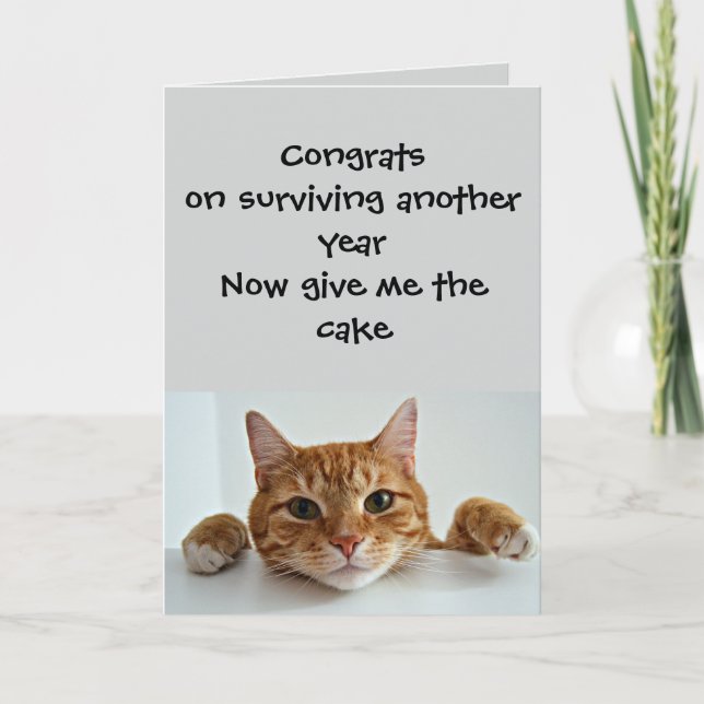 When the Cat Cares.. Just a Little –Funny Birthday Card (Front)