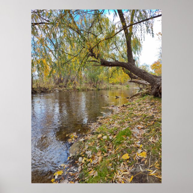 When the Leaves Play a Melody Poster (Front)