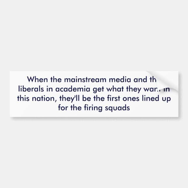 When the mainstream media and the liberals in a... bumper sticker (Front)