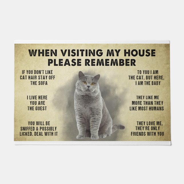 When Visiting My House Please Remember The Cat Lov Doormat (Front)