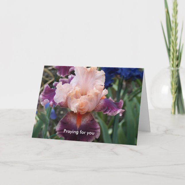 When we do not understand card (Front)