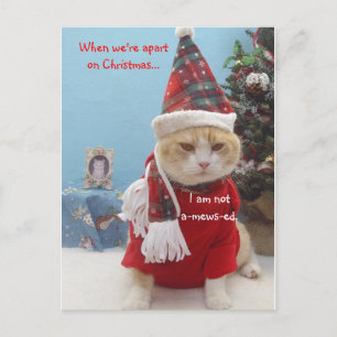 When we're apart on Christmas...,... Holiday Postcard