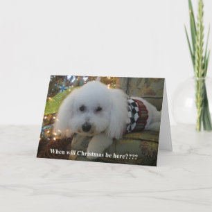 "When will Christmas be here?" Holiday Card
