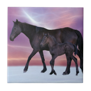 When winter comes ceramic tile