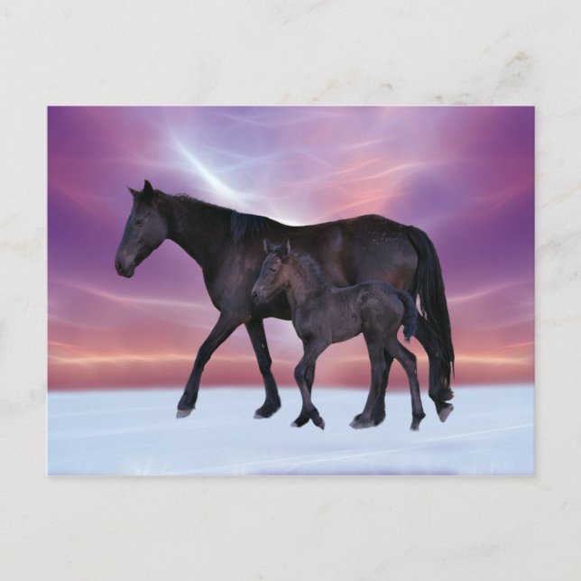 When winter comes postcard (Front)