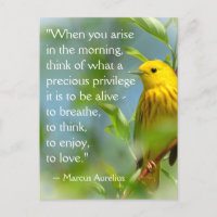 When You Arise Marcus Aurelius Inspiration Quote P