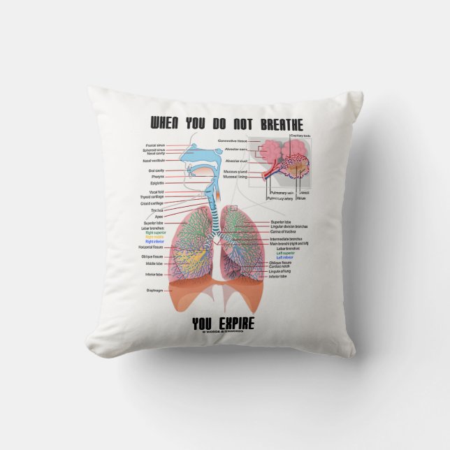When You Do Not Breathe Expire Respiratory System Cushion (Front)