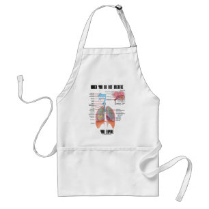 When You Do Not Breathe You Expire (Respiratory) Standard Apron