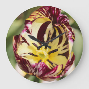 When You Wore A Tulip Large Clock