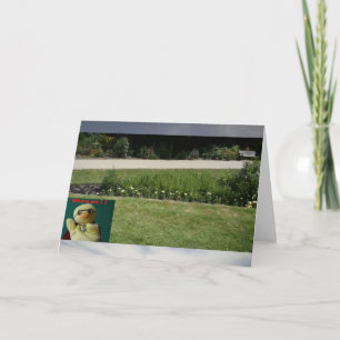 Where am I ?  #5b Card