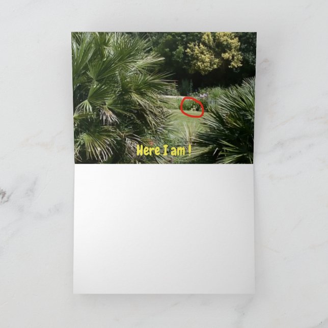 Where am I ?  #5d Card (Inside)