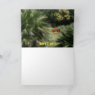 Where am I ?  #5d Card