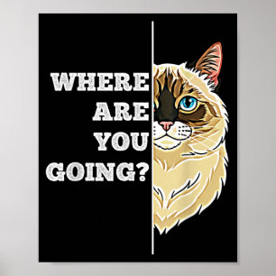 Where are Going Funny Cute Ragdoll Cat Pet Humour Poster