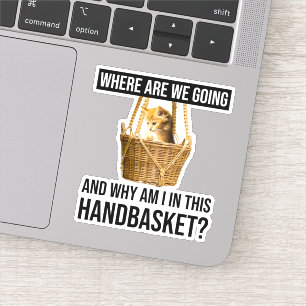 Where Are We Going & Why Am I In This Handbasket?
