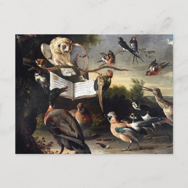 Where Bird Songs Come From Postcard (Front)