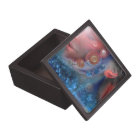 Where do you put rock in?