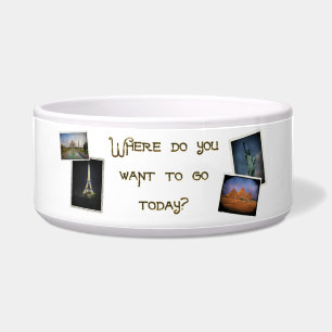 Where Do You Want to Go?