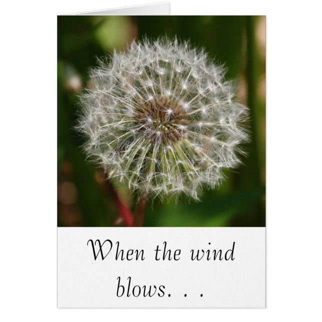 Where Ever the Wind Blows (Front)