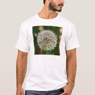 Where Ever the Wind Blows T-Shirt