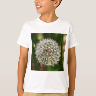 Where Ever the Wind Blows T-Shirt