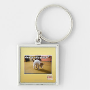 Where gravity going? key ring