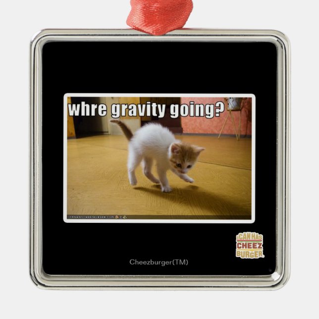 Where gravity going? metal tree decoration (Front)