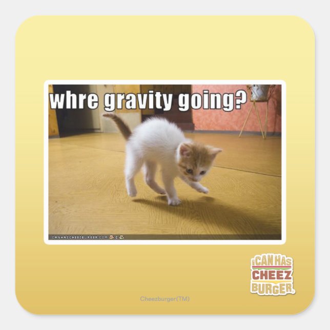 Where gravity going? square sticker (Front)