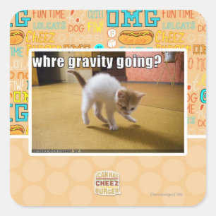 Where gravity going? square sticker