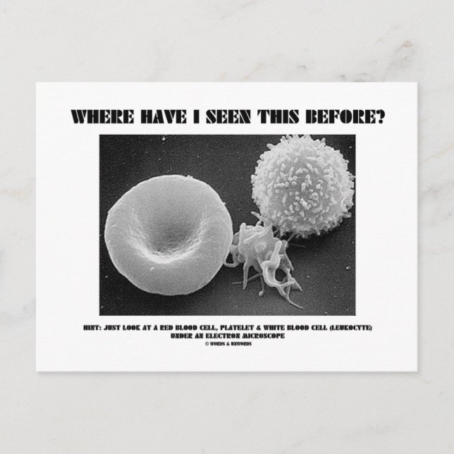 Where Have I Seen This Before? Blood Cells Postcard (Front)