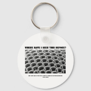 Where Have I Seen This Before? Eye Of Fruit Fly Key Ring