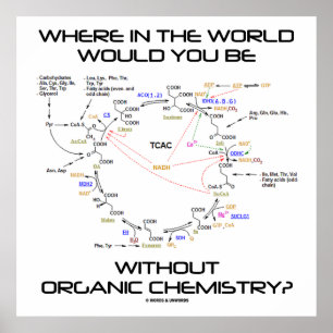 Where In The World You Without Organic Chemistry? Poster