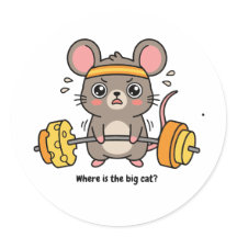 Where Is the Big Cat
