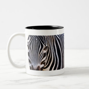 Where Is The Zebra? Two-Tone Coffee Mug