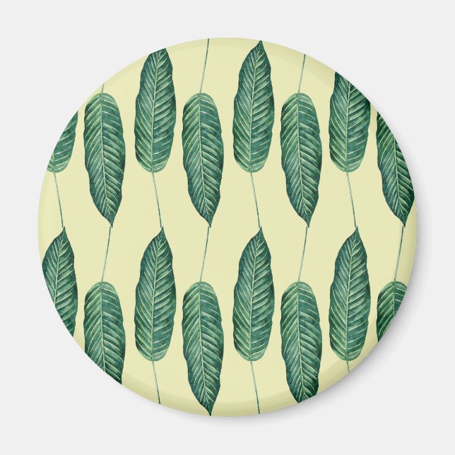 Where Is Wake Forest Magnet (Front)