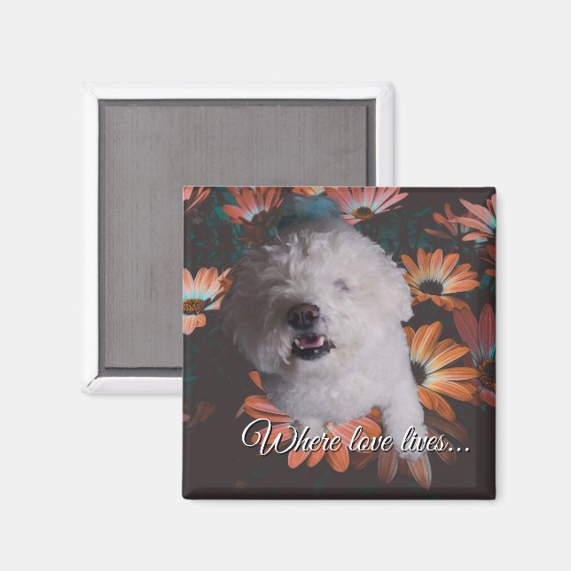 Where Love Lives Magnet (Front/Back)