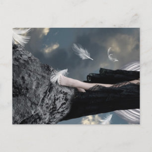 Where Only Angels Wander Postcard